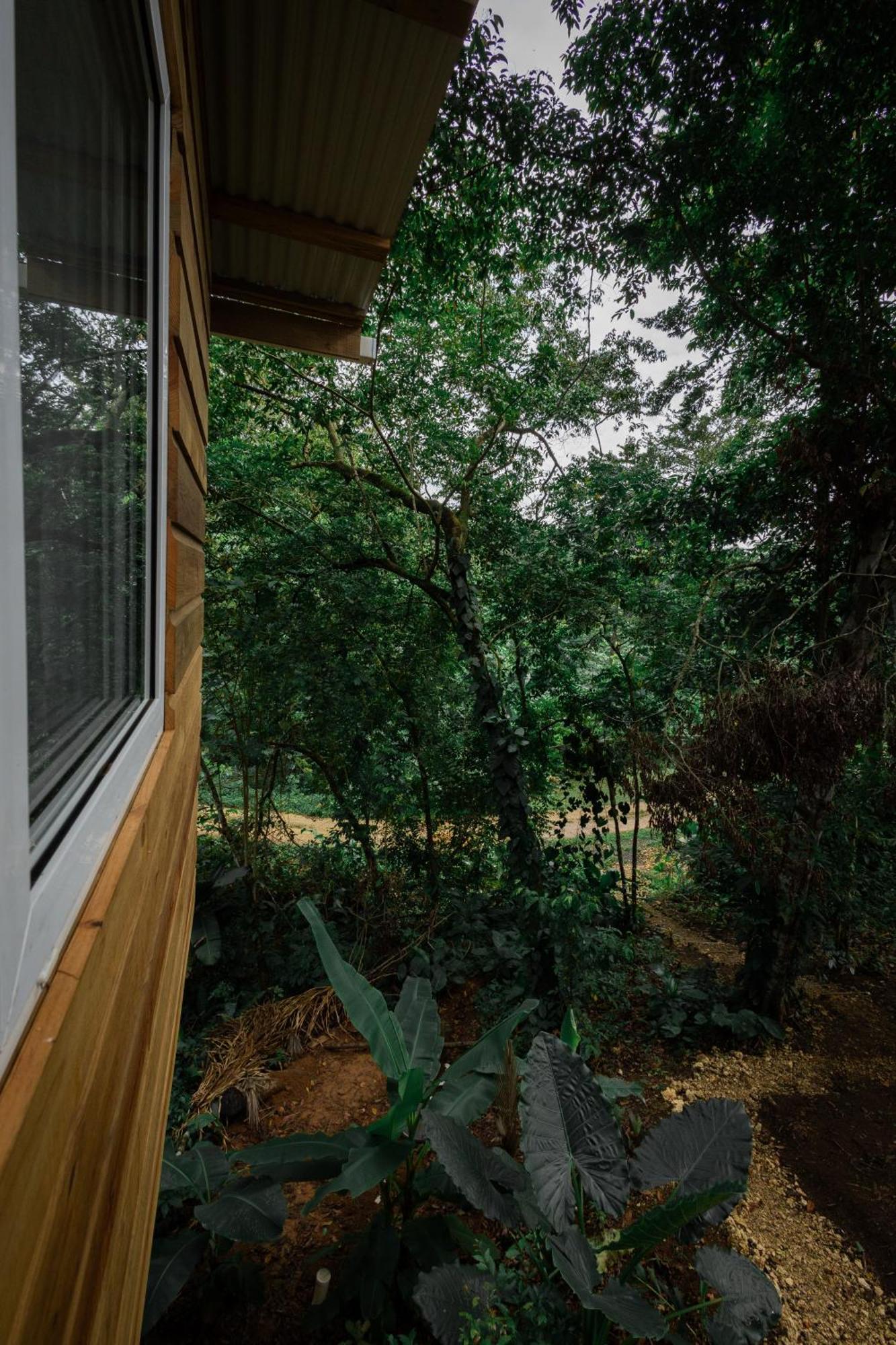 Monkey Tiny House - Private Swimming Pool Villa Big Bight Екстериор снимка